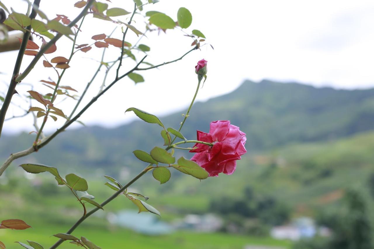 Tavan Ecologic Homestay Lao Chai Esterno foto